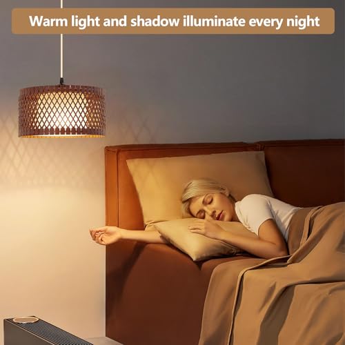 ZSLAIFU Plug in Pendant Light, Hanging Light with Bulb and Remote, Hanging Lamp Plug in for Bedroom, Living Room, Kitchen, Farmhouse Decor - color: Brown - White Shade