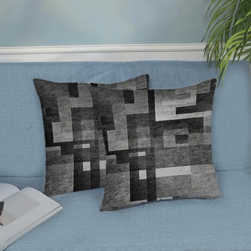 BETGINY Black White Grey Pillow Covers 16x16, Abstract Art Outdoor Decorative Throw Pillows for Couch, Modern Geometry Decor Cushion Cover 2 Pcs Soft Farmhouse Square Pillowcase for Bed Car Safa - color: Black, size: 16" x 16" (Pack of 2)