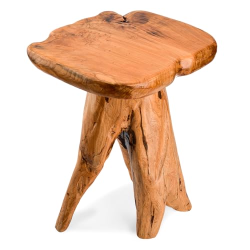18.9 inch Live Edge Wood Stool, Live Edge Wood Stool, Freeform Mushroom Side Table Natural Plant Stand for Garden, Yard, Living Room, Bedroom - size: 14"D x 13"W x 19"H