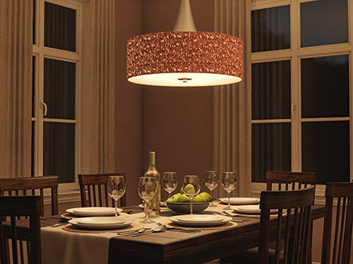 Kenroy Home 93013BS Bulletin 3-Light Pendant, Brushed Steel - color: Brushed Steel