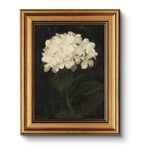 HUARCEY Gold Framed Vintage Wall Art for Living Room, Flowers Painting Canvas Prints Shelf Decor for Kitchen, Aesthetic Bedroom Wall Art, Christmas Gifts for Friends or Family (White Hydrangea 8"x10") - color: White Hydrangea, size: 10"L x 8"W