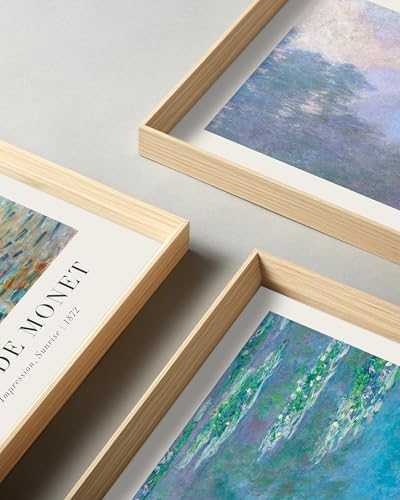 Framed Claude Monet Water Lilies Canvas Wall Art,Vintage Impressionist Botanical Painting,16x12IN High Framed Design Prints,Minimalist Classic Decor Aesthetic for Living Room,Bedroom,Bathroom Set of 3 - color: Framed Monet Vintage Art, size: 16"L x 12"W
