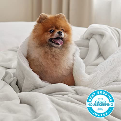 Bedsure GentleSoft Sherpa Fleece Throw Blanket for Couch, Non-Heated, Thick and Warm Throw for Women and Men, Soft Fuzzy Plush Blanket for Winter, Linen, 50x60 Inches - color: 05 - Linen, size: Throw (50" X 60")