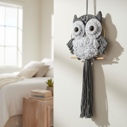 Macrame Owl Wall Hanging Boho Hippy Decor, Handmade Tapestry Fiber Art Wall Decor for Nursery Bedroom Living Room, Sustainable Gift for Owl Lovers & Nature Fans - color: Charcoal, size: Medium