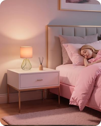 Pink and Gold Table Lamp, Small Bedside Lamp with Metal Base & Pink Linen Lampshade, Modern Nightstand Lamp, Little Cute Desk Lamp for Girl Kid's Room, 2700K LED Bulb Included, DP06TL05 - color: Pink + Gold