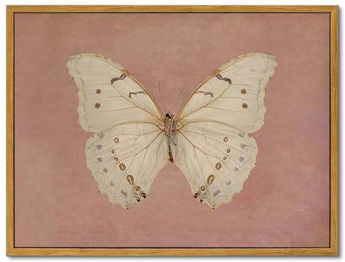Framed Vintage Butterfly Canvas Wall Art Antique White Moth Picture Pink Aesthetic Poster Print Neutral Moody Insect Painting Farmhouse Wall Decor for Living Room Bedroom Dorm Office 12x16in - color: Butterfly, size: 16"L x 12"W