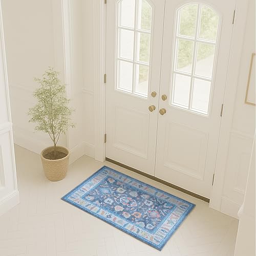 Fame Rugs Blue Modern Oushak Rug 2x3, Vintage Doormat Turkish Colorful Oriental Antique Inspired Washable Small Area Rug, Luxury Living Room Bedroom (387BNB, 2' x 3') - color: 387bnb, size: 2' x 3' (Doormat)