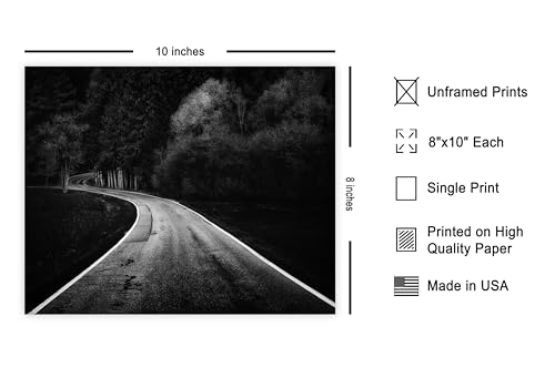 Monem Art Winding Road Through a Forest Print - Bavarian Paths Poster - Landscape Art - Monochrome Office or Living Room Decor - 8x10 Unframed Wall Art by Adam Dauria - color: Style-09, size: 8"L x 10"W
