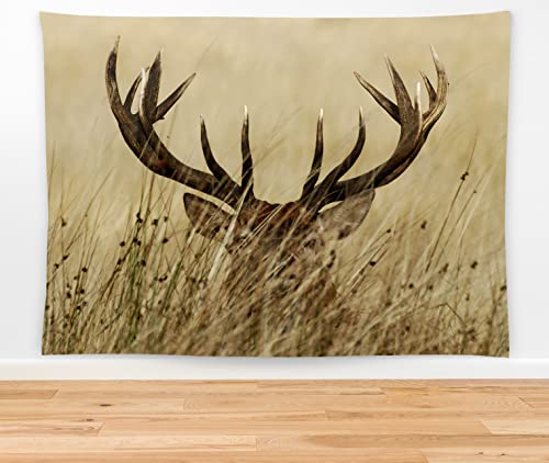 feelacle Deer Tapestry 80" X 60" Wild Animal Wall Hanging Party Decorations Home Decor For Bedroom Living Room Dorm (200 X 150cm) - color: Deer, size: 80"L x 60"W