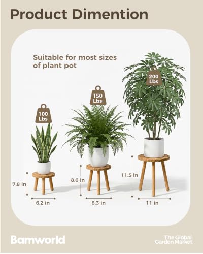 Bamworld 3 Pack Plant Stand Indoor Single Plant Stand for Multiple Plants Corner Plant Stool Wooden Plant Stands for Patio Garden Balcony Living Room Bedroom(Nature)