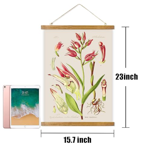 ABoby Vintage Flower Poster, Decorative Botanic Chart Wall Art Prints, Printed on Linen with Wood Frames, Ready to Hang - color: Red Flower