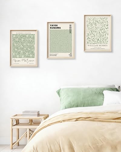 HesenDot Framed Matisse Sage Green Wall Art,William Morris Canvas Wall Decor,16x12IN High Framed Wood Design Prints,Minimalist Classic Decor Aesthetic for Living Room,Bedroom,Bathroom Set of 3 - color: Framed Green Canvas Art, size: 16"L x 12"W