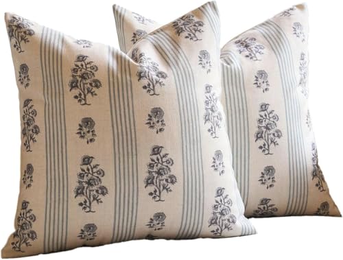 Dream Woven Floral Pillow Cover, Throw Pillow Cover for Couch, Floral Print Decorative Neutral Accent Throw Pillow Covers for Living Room, Pack of 2 - color: Air Blue, size: 20x20