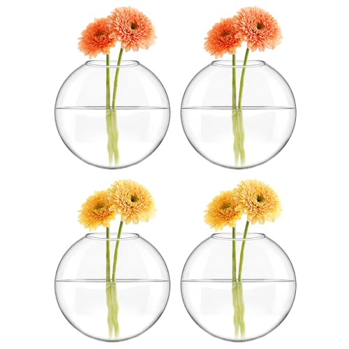 Mkono Wall Hanging Planter Propagation Station Glass Flower Vase for Hydroponics Plants, Bathroom, Home Office Living Room Decor Gift, Oblate Set of 4(Plants not Included)