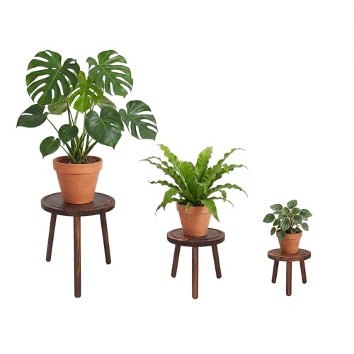 Amdermi 3 Pack Wood Plant Stands Indoor, Mid Century Modern Plant Stool for 6-12 Inch Pots, Tall Small Plant Stand Set for Living Room, Balcony, Office - color: Dark Brown