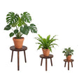 Amdermi 3 Pack Wood Plant Stands Indoor, Mid Century Modern Plant Stool for 6-12 Inch Pots, Tall Small Plant Stand Set for Living Room, Balcony, Office - color: Dark Brown