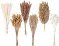 Dried Pampas Grass Decor, 120 PCS Pampas Grass with Bunny Tails Dried Flowers, Reed Grass Bouquet for Wedding, Boho Flowers, Home Table Decor, Rustic Farmhouse Party (White and Brown) - size: 120PCS