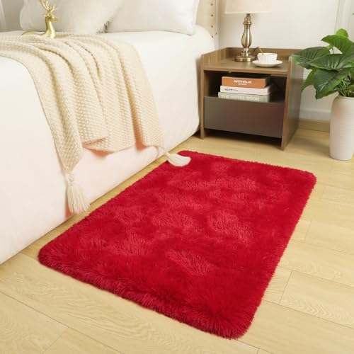 DETUM Small Red Rug 2x3 Fluffy Area Rug for Bedroom Kitchen Entryway Hallway Washable Super Soft Throw Carpet for College Dorm Plush Rugs for Kids - color: Red, size: 2 x 3 feet
