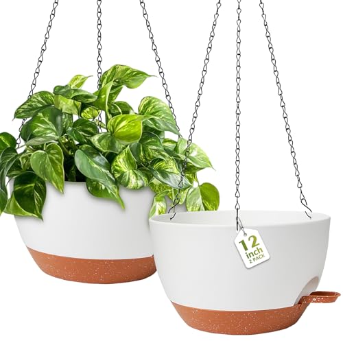 GARDIFE Hanging Planters for Indoor Outdoor Plants, 2 Pack Self Watering Hanging Pot with Drainage Holes & Removable Tray (White, 12 inch) - color: White, size: 12 Inch
