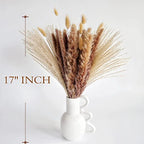 Natural Dried Pampas Grass Decor, Brown Pampas Grass， Bunny Tails Dried Flowers, Reed Grass Bouquet for Wedding Boho Flowers Home Table Decor, Fall Decor，Rustic Farmhouse Party (100 in Total ) - size: 100CPS-Brown