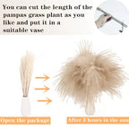 Dried Pampas Grass Decor, 128PCS Pampas Grass with Bunny Tails Dried Flowers, Reed Grass Bouquet for Wedding, Boho Flowers, Home Table Decor, Rustic Farmhouse Party - size: 128PCS