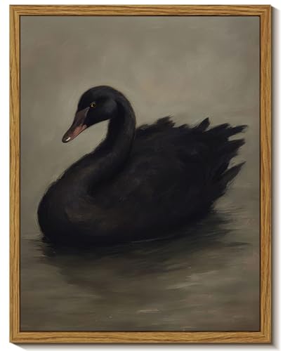 Framed Vintage Black Swan Canvas Wall Art Moody Animal Picture Dark Victorian Gothic Aesthetic Poster Print Rustic Farmhouse Antique Painting Wall Decor for Living Room Bedroom Kitchen 8x10in - color: Black Swan, size: 10"L x 8"W