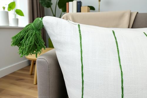VAGMINE Embroidered Wildflower Floral 18x18 Throw Pillow Cover - White Pink Cotton Cushion with Tassel Corners for Sofa Couch Bed - Cottagecore Spring Decor - Daisy - color: Pink-daisy, size: 18" x 18" (Pack of 1)