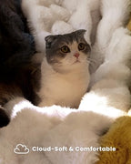 Ultra Soft Cozy Faux Fur Throw Blanket, Fuzzy Plush Thick Bubble Blanket, Luxury Fluffy Blanket for Couch, Sofa, Bedroom, and Living Room, 50x60 Inches, Cream White - color: Cream White, size: Throw