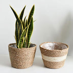 Healeved Hand Woven Planter Basket with Liner Rustic Straw Flower Pot for Indoor Outdoor Plants Balcony Living Room Decor 7.8X9.75X7.8 Inches