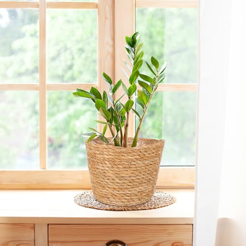FOMIYES Woven Straw Flower Basket, Seagrass Planters Pot, Garden Plant Pot Containers Wicker Rattan Vase Sundries Organizer Storage Bins for Indoor Outdoor Plants - size: 25X19CM