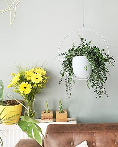 Hanging Planter Indoor Modern Boho Plant Pot Metal Wall and Ceiling Plant Holder, Mid Century Minimalist Flower Pot for Hanging Plants(White) - color: White, size: 1PC