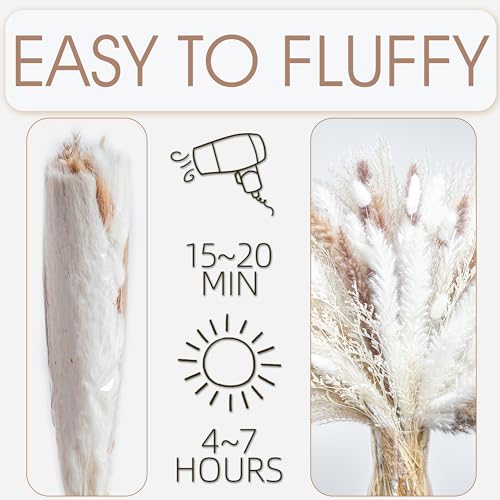 220PCS Natural Dried Pampas Grass Boho Home Decor Bouquet Phragmites Dried Flowers Bouquet for Wedding Floral Arrangements Home Decorations (220PCS) - size: 220 Pcs