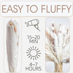 220PCS Natural Dried Pampas Grass Boho Home Decor Bouquet Phragmites Dried Flowers Bouquet for Wedding Floral Arrangements Home Decorations (220PCS) - size: 220 Pcs