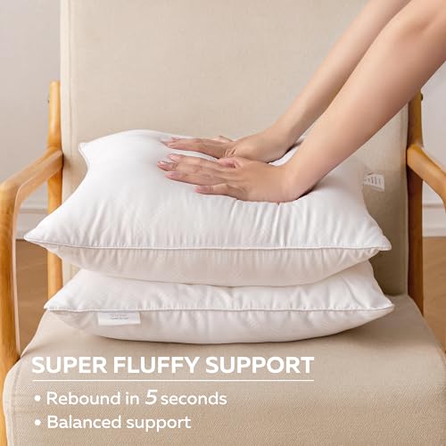 Oubonun 18x18 Inches Pack of 2 Throw Pillows Inserts, White Square Cushion Inner Soft Fluffy Plump Stuffer Pillows Inserts for Sofa Bed Couch - size: 18×18 inch
