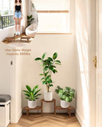 3 Tier Corner Plant Stand Indoor - Adjustable Wood Convex Flower Stand for Small Spaces, Heavy Duty Long Plant Shelf for Living Room Balcony Hallway