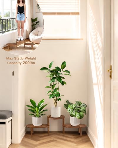 3 Tier Corner Plant Stand Indoor - Adjustable Wood Convex Flower Stand for Small Spaces, Heavy Duty Long Plant Shelf for Living Room Balcony Hallway