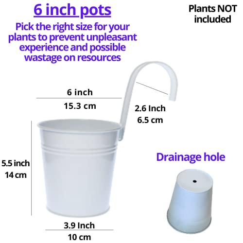 LaLaGreen 6 Inch Hanging Planter Iron - 10 Pack, White Large Metal Flower Pot Over Rail Balcony Railing Hanging Buckets for Plants Outdoor Fence Wall Herb Garden Succulent Outside Deck Patio Porch - size: 6 Inch (White)