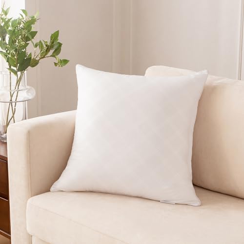 Oubonun 18x18 Inches Pack of 2 Throw Pillows Inserts, White Square Cushion Inner Soft Fluffy Plump Stuffer Pillows Inserts for Sofa Bed Couch - size: 18×18 inch