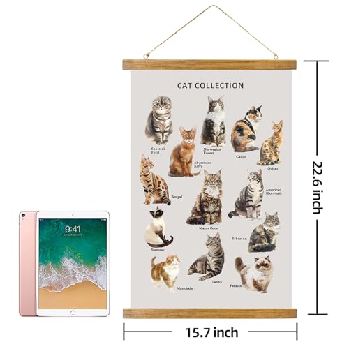 ABoby Vintage Cat Breeds Chart Posters - Pet Wall Art for Homes and Offices - Retro Style Painting with Wood Frames - Ready to Hang - color: Cat