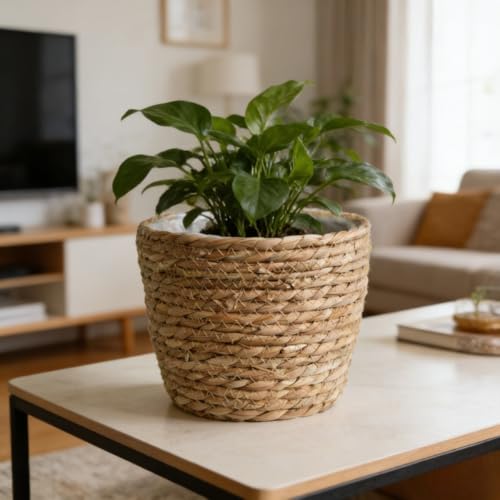 10 inch Seagrass Planter Basket – Woven Basket with Plastic Lining for Plants, Flower Pot Cover, Storage Organizer for Indoor Plants, Rustic Home Decor, Farmhouse Wicker Planter - size: 9.8"x7.5"
