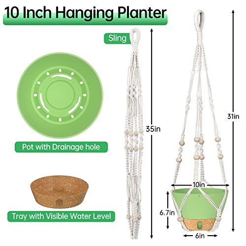 ZMTECH 2 Pack 10 Inch Hanging Planters with Macrame Plant Hanger for Indoor and Outdoor Plants, Self Watering, Drainage Hole, Visible Level Tray, Green - color: Green (Macrame), size: 10 Inch