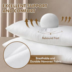 MIULEE 12x24 Inch Pillow Insert, Throw Pillow for Bed Sofa Couch Rectangle Decorative Lumbar Virgin Microfiber Stuffer - size: 12x24 Inch (Pack of 1)