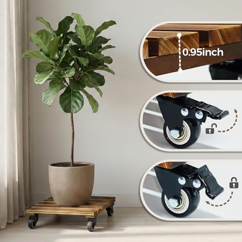 Bamworld 14 Inch Large Plant Stand Wood Plant Caddy with Wheels Heavy Duty Plant Dolly with 360 Lbs Capacity, 360° Lockable Wheels for Large Plant Pots, Indoor and Outdoor Use 2-Pack - size: 14inch-Square-2pack
