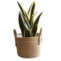 Woven Plant Basket - Straw Flowerpot, Decorative Holder with Handle, Indoor Outdoor Accessory with Stylish Design, Home Garden Tool for Balcony Yard Patio Pathway Lawn Display