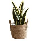 Woven Plant Basket - Straw Flowerpot, Decorative Holder with Handle, Indoor Outdoor Accessory with Stylish Design, Home Garden Tool for Balcony Yard Patio Pathway Lawn Display