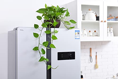 Hanging Basket Plastic Flower Pot Round Resin Garden Hanging Planter for Indoor Outdoor Plants 2 Pack Brown - color: 8 Inch Brown