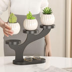 Bamboo Tabletop Plant Stand Indoor, 3 Tier Wood Desktop Small Plant Shelf Window Sill Flower Holder Mini Tiered Plant Display Rack for Patio Balcony Living Room Decor (black)