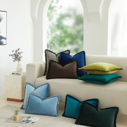 JUSPURBET Pack of 2 Coffee Decorative Fringe Velvet Throw Pillow Covers 16x24 for Home Decor Living Room Bedroom Car Boho Soft Cushion Cover with Hidden Zipper Machine Washable - color: Coffee, size: 24" x 16" (Pack of 2)
