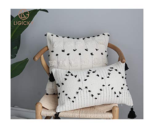 LIGICKY Boho Lumbar Pillow Covers 12x20 Inch Decorative Throw Pillows for Couch Chair Sofa Black and Off White Woven Tufted Pillow Case with Tassels - color: Black and Off White（little Diamond）, size: 20" x 12" (Pack of 1)