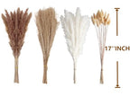 100 PCS Small Boho Pampas Grass, 17" Naturally Dried Pompas, Pampas Grass Decor for Wedding , Boho Party Decorations, Table Decor（Brown and White）